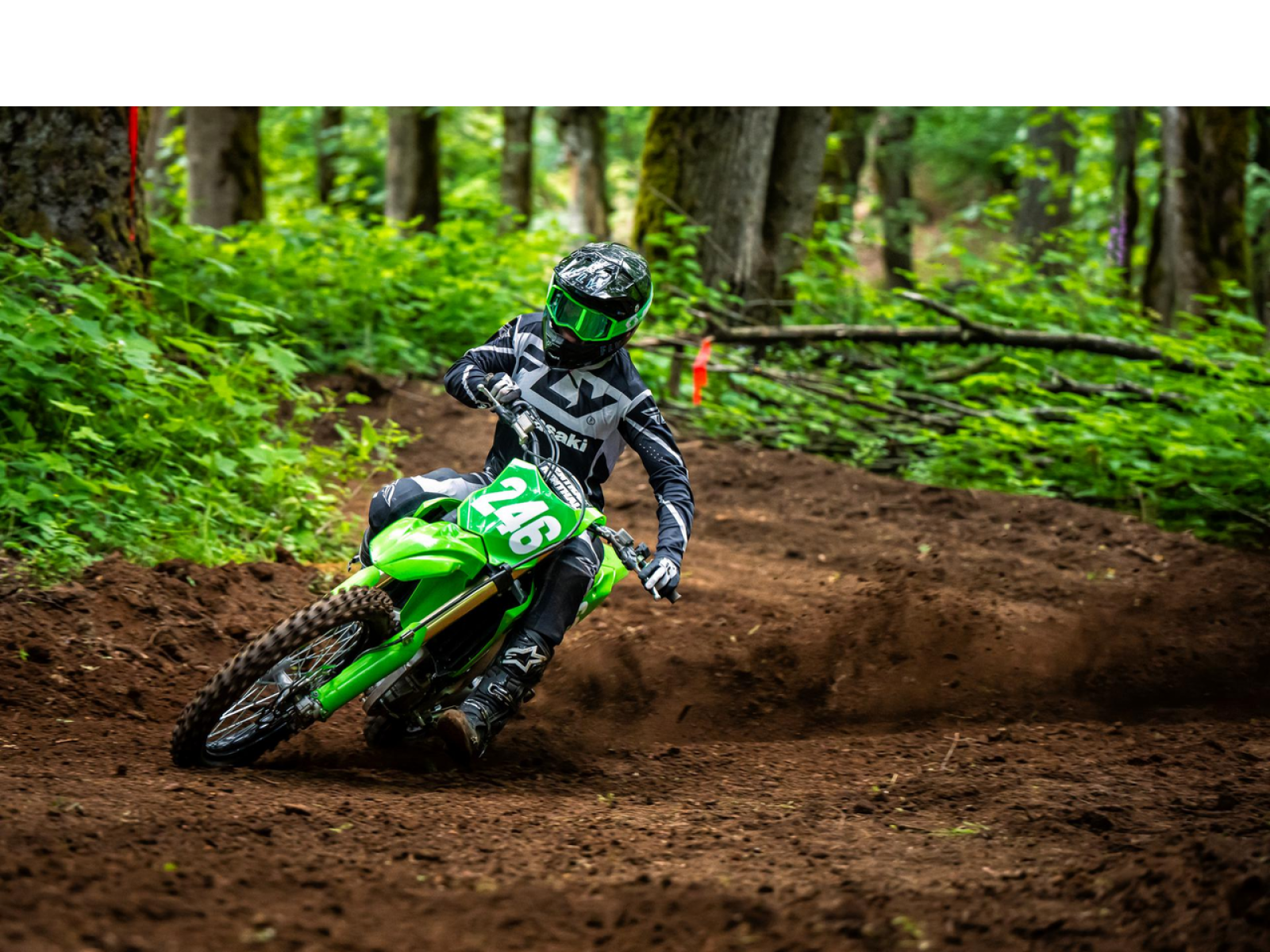 Мотоцикл KAWASAKI KX 250 X (Lime Green) 2025